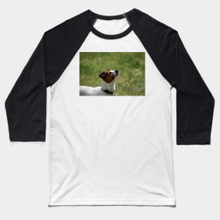 Little sniffer Baseball T-Shirt